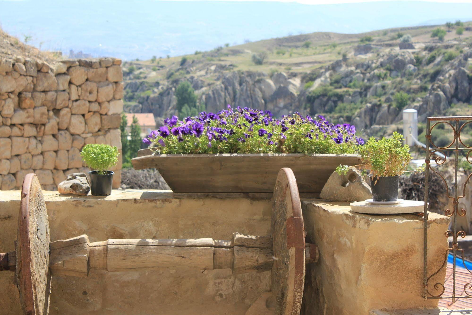 Anitya Cave House Apart Hotel Ortahisar 외부 사진
